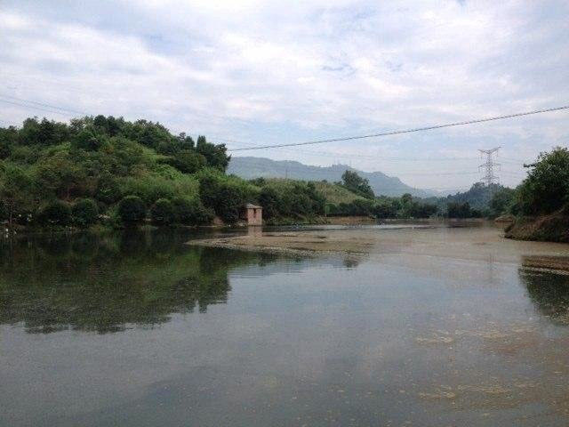 重庆巴南30亩鱼塘出租-金土地