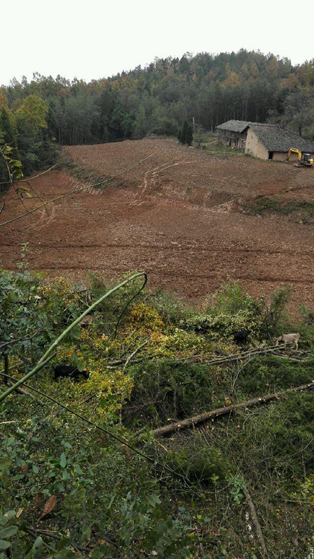 四川广元元坝区66666平土地出租